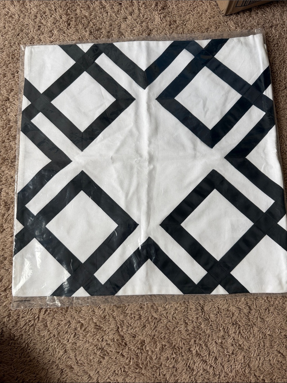 Pottery Barn Teen Black and White Lattice Monogram Pillow Cover